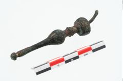 Foto von Bronzenadelspitzenschoner (NHMW-PRAE-026054)
